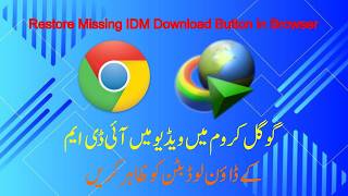 Restore Missing IDM Download Button in Browser screenshot 2