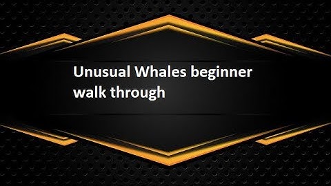 Unusual Whales beginner walk through