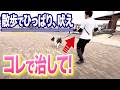 【犬しつけ】散歩のひっぱり、吠えはコレで治せます!【プロドッグトレーナー 解説】