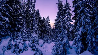 Красавица зима (Финляндия)