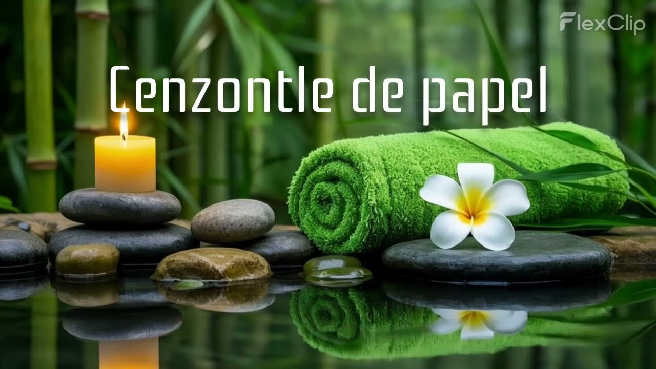 Cenzontle de papel
