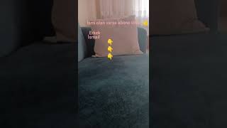 Erkek İsmail Hasan Osman Ali Emre Samet Ahmet Mert Kız Fatma Hatice Zeynep Emine Esra