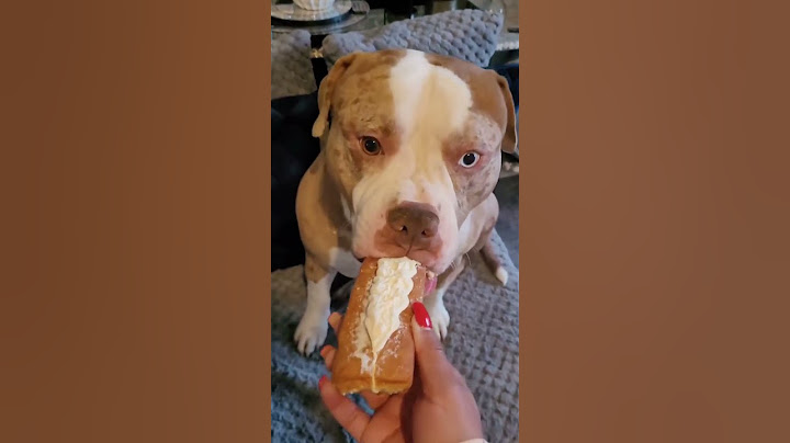 be gentle #dog#funny#funnyanimals#funnypets#animals #dogsofttiktok #pet #foryou #longervideos
