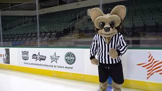 Hockey 101 - Offsides