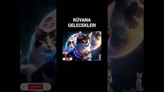 Uyumadan Önce Bunu İzle: Üç Kedi Sana Özel Sır Getiriyor 🐱🌌 #shorts #kedivideosu | 3 Pati Günlükleri