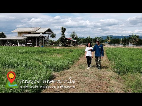 วิสาหกิจชุมชนเกษตรทฤษฎีใหม่ #สวนลุงจ่าเกษตรม่วนใจ