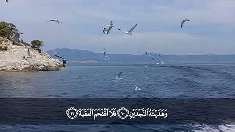 الشيخ محمد حسان||تلاوة سورة البلد💚🍃