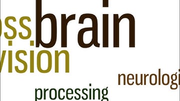 Strategies for Success: Working with Children with Cerebral/Cortical Visual Impairment (CVI)