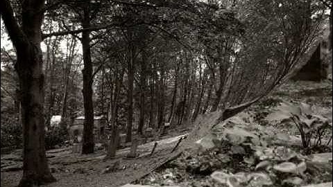 begraafplaatsenproject so far...