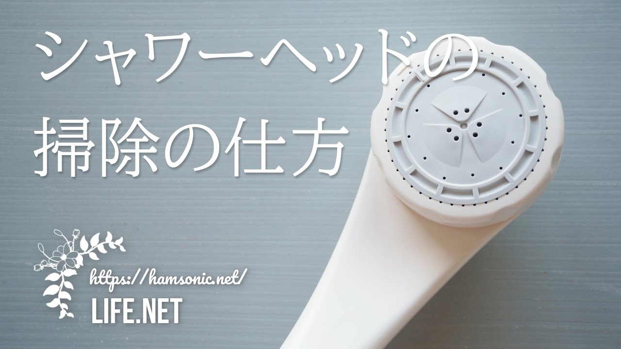 シャワーヘッドの掃除方法 ソレダメ 家事えもん流でカビもきれいに Life Net