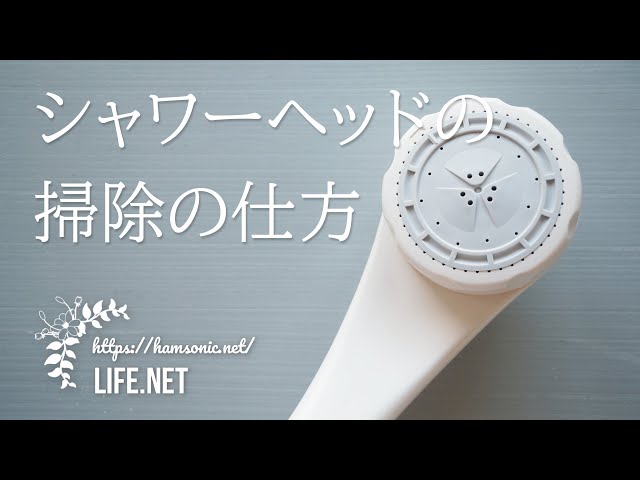 お酢を使ったシャワーヘッドの掃除方法 世界一受けたい授業で話題 Life Net