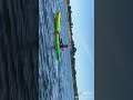 بري بور سكويا وادي هور بور سكويا