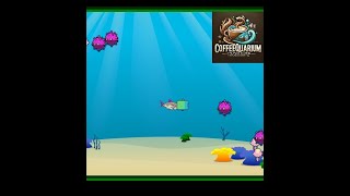 🔴 🎮 Live: Basic Canvas Shark Game - Underwater Adventure! 🌊🐟 | HTML, CSS & JS Game Devl. Part II