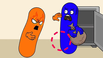 Pet Me Maze VS Rush Guy - Which Game Do You Like? - Gameplay Walkthrough (Android, iOS)