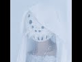 【歌枠】歌手がのんびり歌うよ🌙#shortsvideo