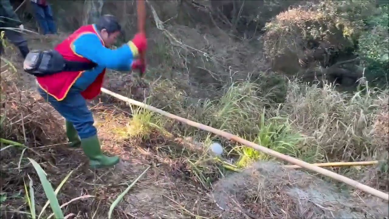 115年2月22日   永鴻隆船隊   奉何清吉理事長指示   造橋山區   取締擄鴿勒索