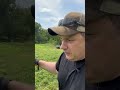 No Till Food Plot Success!  #shorts #notill #foodplot #summer #clover #farming