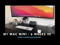M1 Mac Mini with 49" Super Ultrawide Set up - 1 month later. Somethings aren't quite right