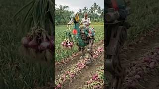 #farming #desijugaad #shorts #viral