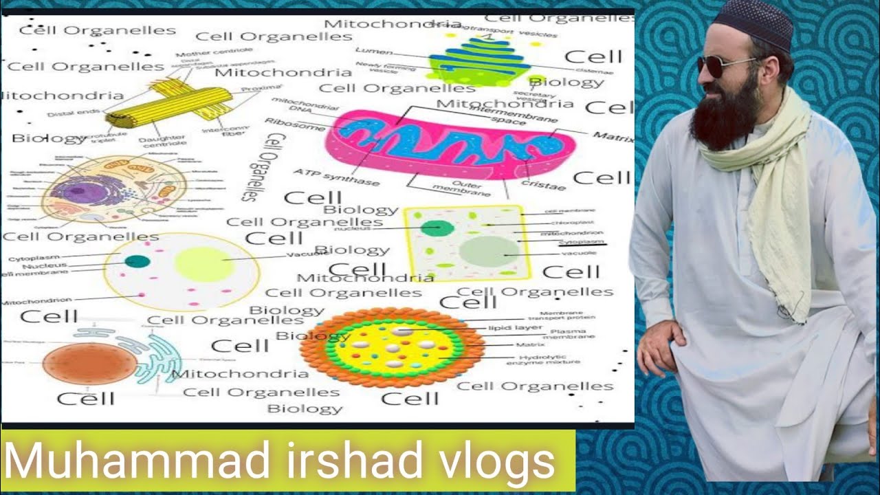 overview of cell | 9th class biology | in Pashto - YouTube