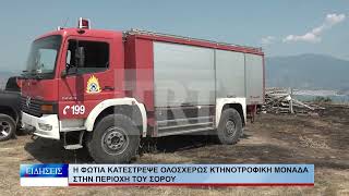 Βόλος Η φωτιά κατέστρεψε ολοσχερώς κτηνοτροφική μονάδα στην περιοχή του Σορού 190826