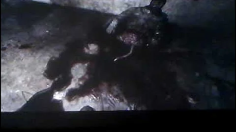 Condemned 2 bloodshot, BEAR!!!!!