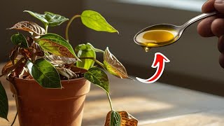 🌱 Revive Any Dying Plant With This Simple Trick [WORKS EVERY TIME!]🌿 | Top Tuckers Plant store
