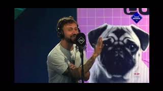 Il dolore articolare cane e gatto