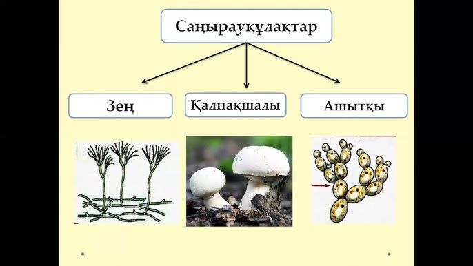 Қызды резеңке допқа ұрып алады