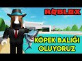 🦈 Köpek Balığı Oluyoruz 🦈 | Sharkbite | Roblox Türkçe