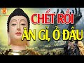 Phật Dạy Con Người Sau Khi Lìa Đời Thì Làm Gì Ăn Gì Và Ở Nơi Đâu - Nên Nghe video and sound