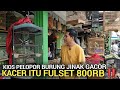 UPDATE PAGI ! BURUNG KICAUAN JINAK GACOR DIJUAL FULLSET 800RB KIOS BURUNG JAKARTA TIMUR 