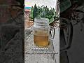 GET RID OF COUGH - Try this for your COUGH/SORE THROAT | Homemade remedy cough #shorts #ytshorts