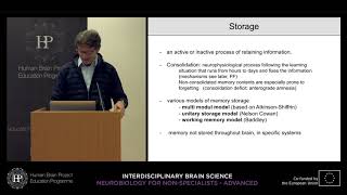 Lecture 3: Nicolas Singewald - Learning and memory: Basic concepts and medical (...)