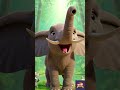 ABC phonics song for kids | E for Elephant 🐘 | Learn Alphabet E | Nursery Rhymes | ABC Song for Kids