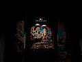 Radhey krishna 🌷
