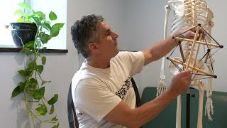 Therapeutic Massage Company - Dover, NH (603) 740-2979