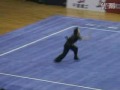 2009年武术套路全运会预赛 棍术（刘晓蕾）