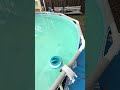 My pool cleaning buddy