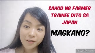 Sahod ng Farmer dito sa Japan | Japan Trainee Salary | Ibaraki