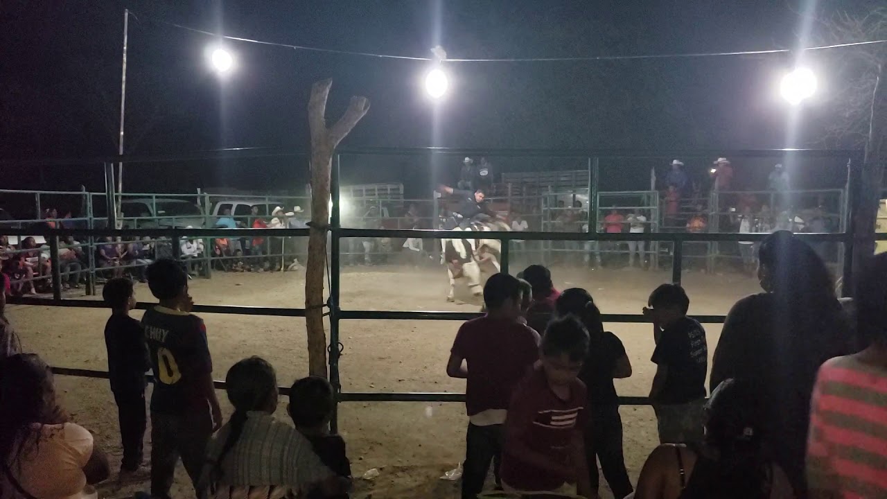 Feria Cuicatlan 2019. Jaripeo(1)