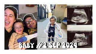 Vlog: Bebé en camino! + dentista por primera vez