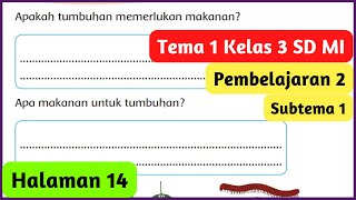 Kunci Jawaban Tema 1 Kelas 3 Halaman 14 Apakah Tumbuhan Memerlukan Makanan