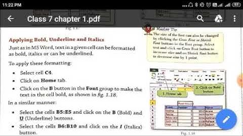Class 7 - Computer - Chapter I - Formatting Cell Content in MS Excel - Part 5 - by Mrinal Pandey