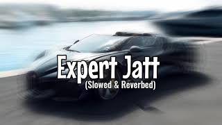 Expert Jatt 🔥 (Slowed \u0026 Reverbed) || ViBing PlaCe 🎵🎶