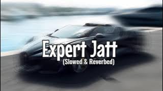 Expert Jatt 🔥 (Slowed & Reverbed) || ViBing PlaCe 🎵🎶