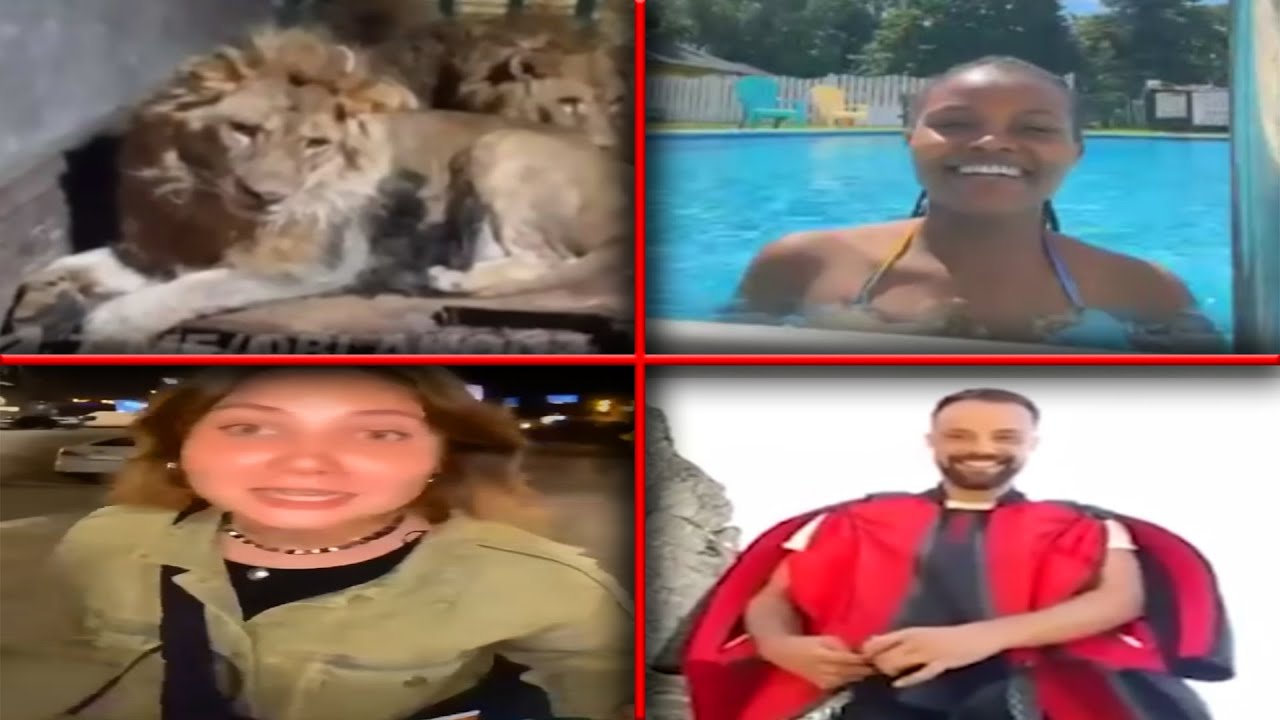 Videos Taken Right Before Disasters.. (Vol. 2)