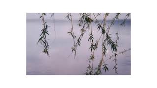 Sccwarzz - Emotions Are Messy