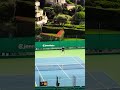 Rune si allena con Sinner dopo 8 mesi di stop #news #tennis #video #fyp #shorts #reels #viral #memes