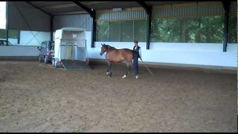 Opleiding Trailerlaadspecialist met Eddy Modde